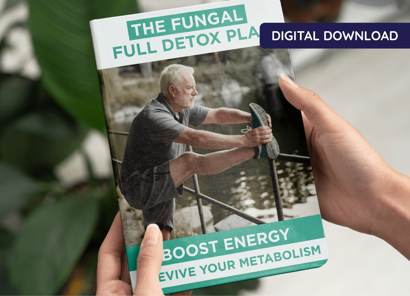 Fungal Full Detox Plan